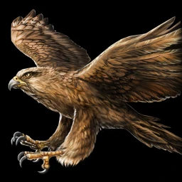 File:Hawk icon.webp