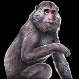 File:Monkey icon.webp