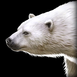 File:Polar bear icon.webp