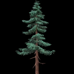 File:Tree tundra.webp