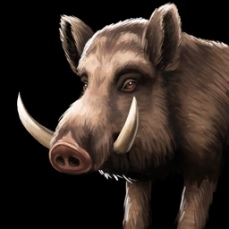 File:Boar icon.webp