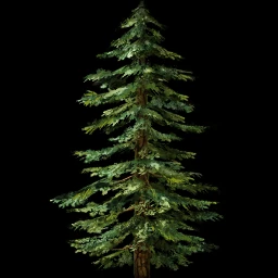 File:Tree pine.webp