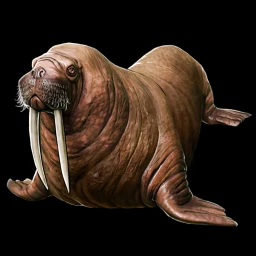 File:Walrus icon.webp