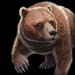 File:Bear icon.webp