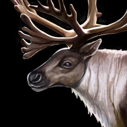 File:Caribou icon.webp